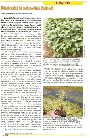 Medoviti in zdravilni žajbelj (objavljeno v reviji Slovenski čebelar - Čebelje paše -september 2015)