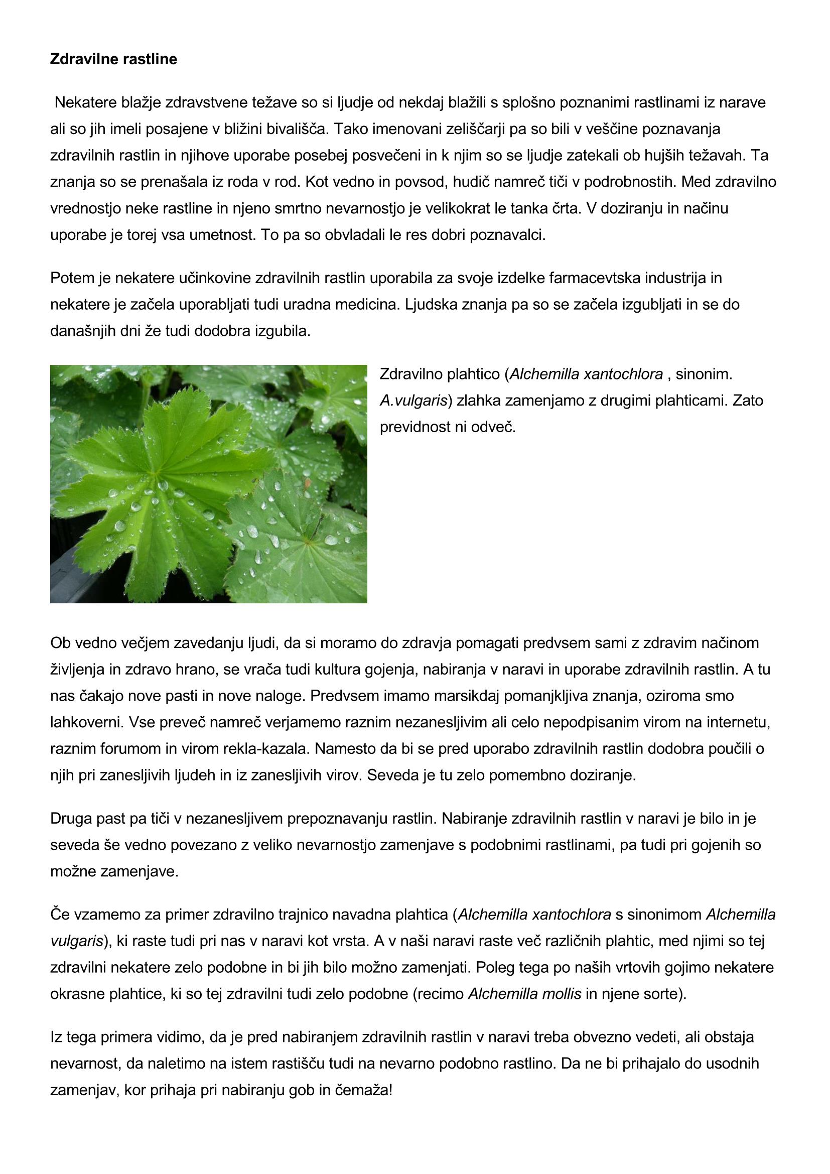 Trajnice za posebne namene - Zdravilne rastine in dišavnice
