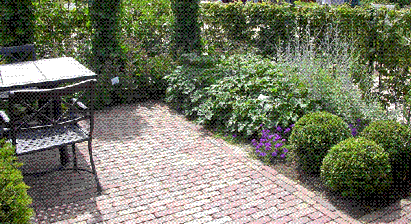 Bivalni kotiček na vrtu, ločen od okolice z bršljanovim zelenim zidom, ozke zelenice pa obsajene z enostavnimi trajnicami in nekaj oblikovanimi grmiči.
