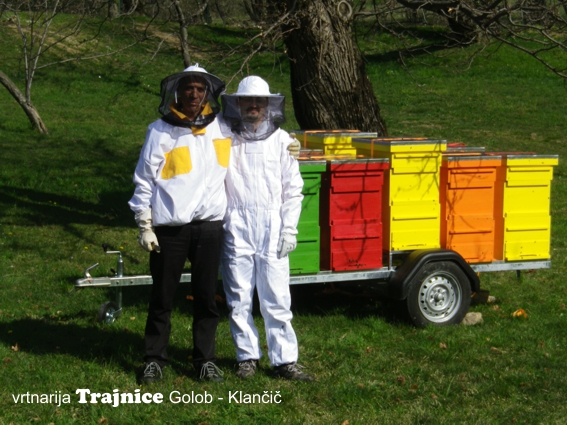 Na pašo smo dobili čebele iz Gorenjske