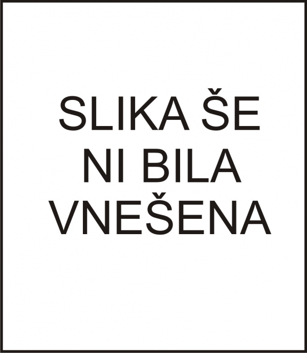 Achillea ptarmica 'Noblesse' - beli  nizki rman,  polni cvet